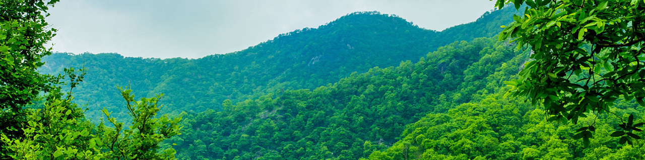 Aravali Amazing Tour Packages