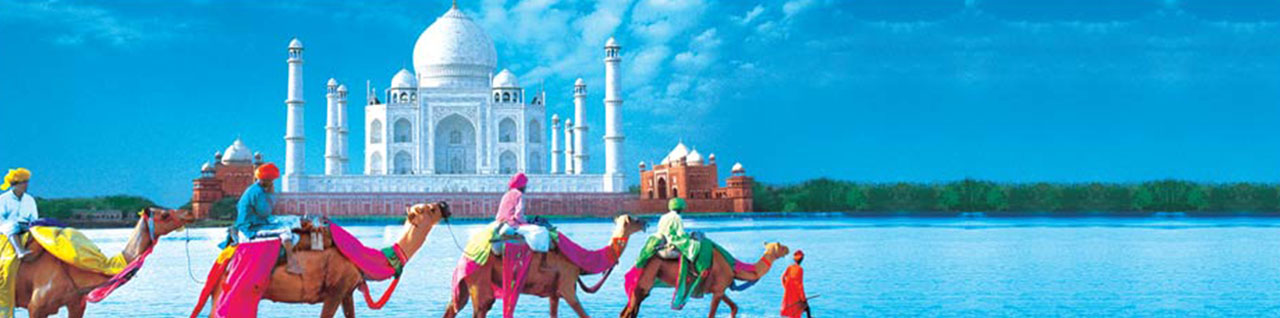 Golden Triangle Tour Packages