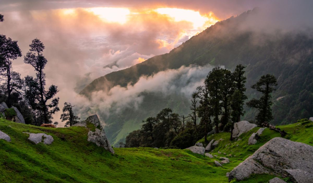 Himachal Pradesh