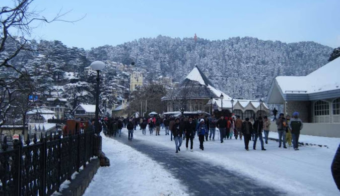 Shimla Taxi Services